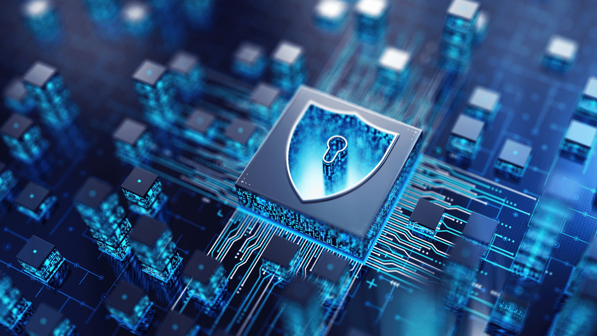 Terafence: Bridging Security and Connectivity for Maritime Operations